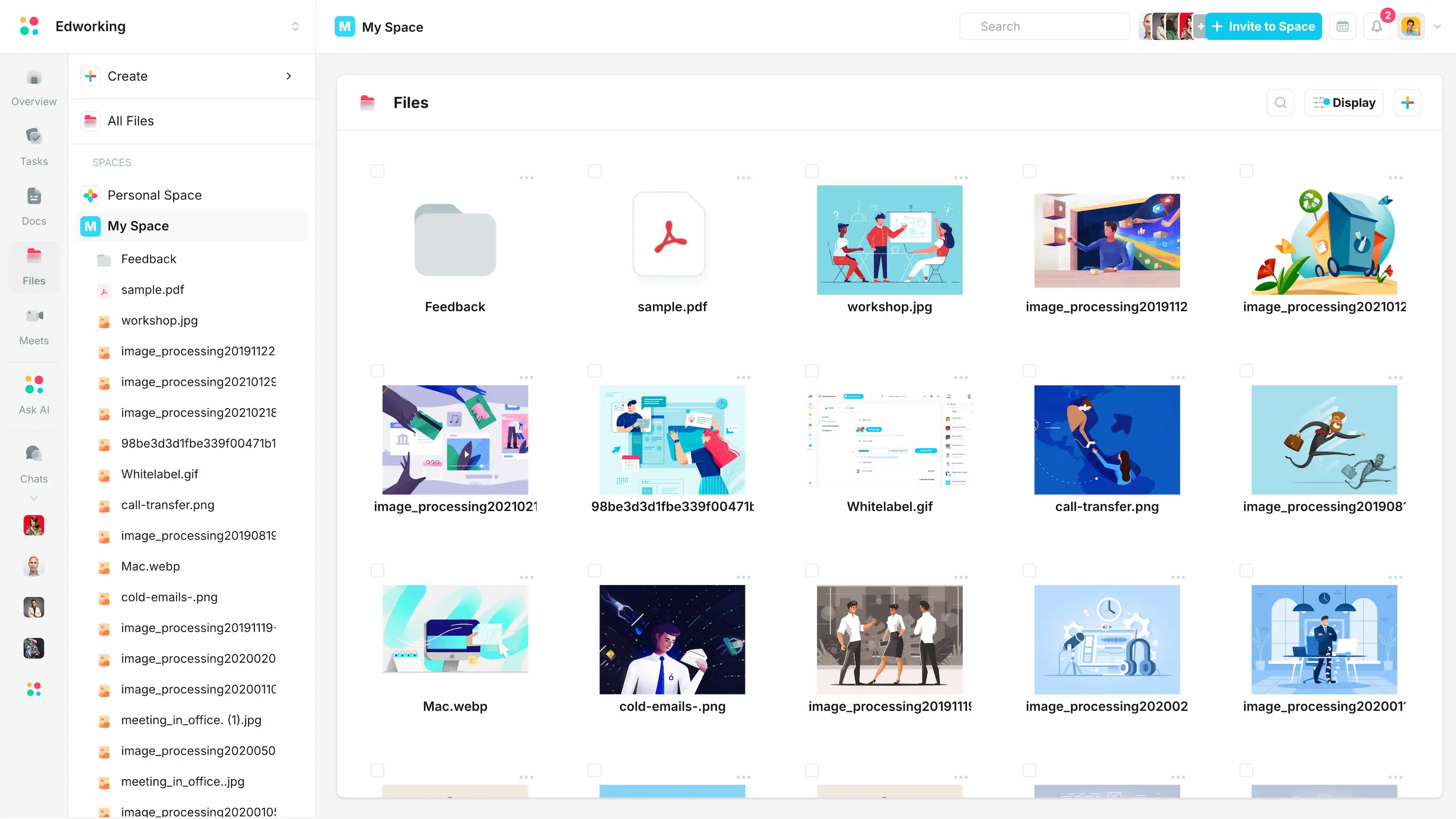 File Management