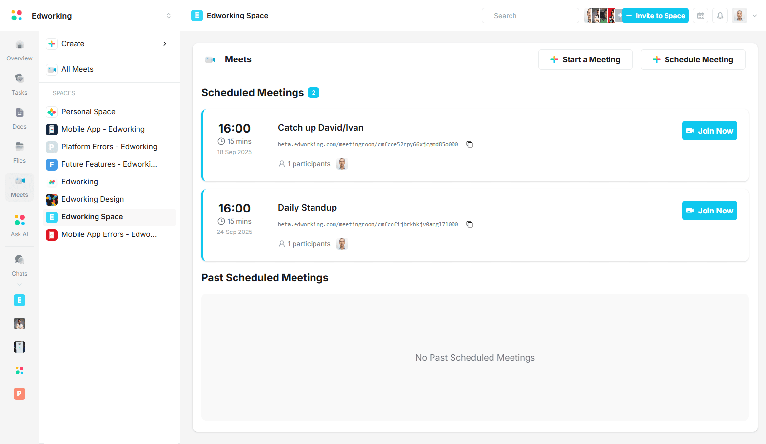 Video Meetings